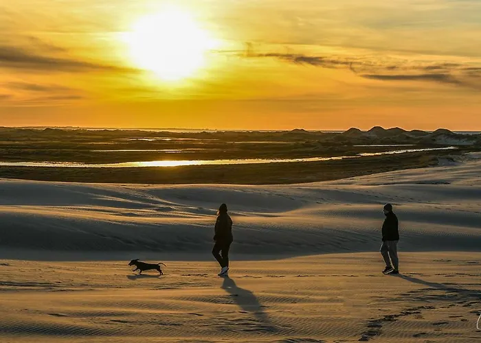 Lägenhetshotell Bo Godt I Skagen.dk